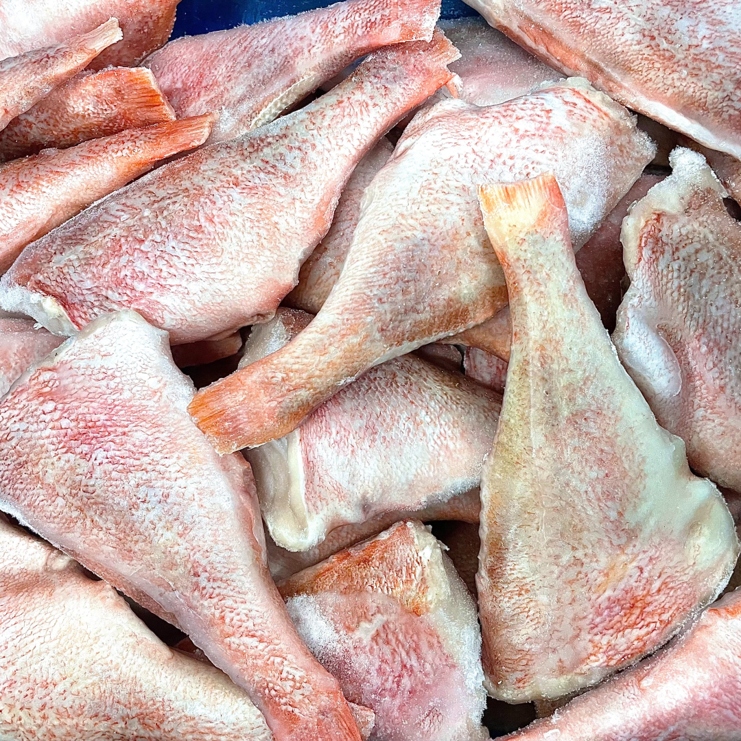 적어 1kg 열기 손질 생선 장문 볼락 뽈락 - 상세 이미지 4