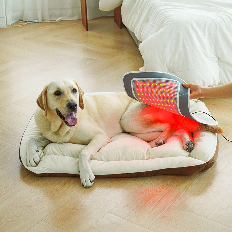 시리어스펫 슬개골 따땃패드 프로 강아지 고양이 디스크 근적외선 온열 찜질 조사기