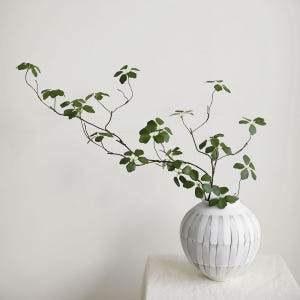 으름 나무 인조 인테리어 생화같은 넝쿨 나뭇 나무 가지 조화 나무 식물 ... 실사용 후기 | 효과 있을까? - 상품 이미지 4