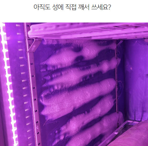 라셀르 고기숙성고 숙성냉장고 간냉식 건식 정육 쇼케이스 25박스 육류 드라이 V3+물받이 판매처 상세 정보 이미지 2