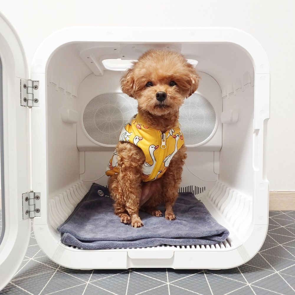 [디클펫] 펫드라이룸 듀얼팬 빠른건조 강아지 고양이 드라이기 펫마블 러브에어 프로