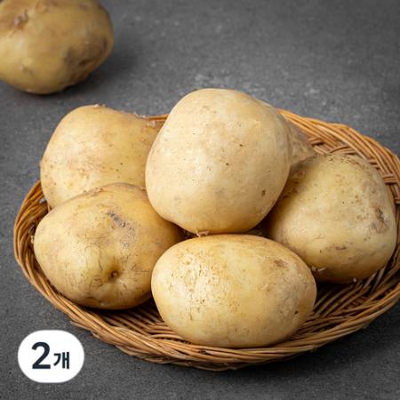강원도 감자 (햇) 1kg 2개 1kg × : 김마스네
