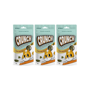 닥터뮨 쿠앙 크런치덴탈 덴탈 고양이 이빨과자 치석 치태 입냄새 치킨, 4... 솔직 후기 | 실제 사용자 리뷰 총정리 - 상품 이미지 1