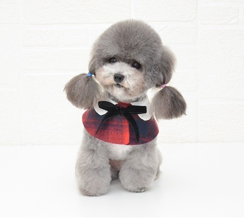 다묘집사 고양이 나비 넥타이 보타이 케이프 - 상품 이미지