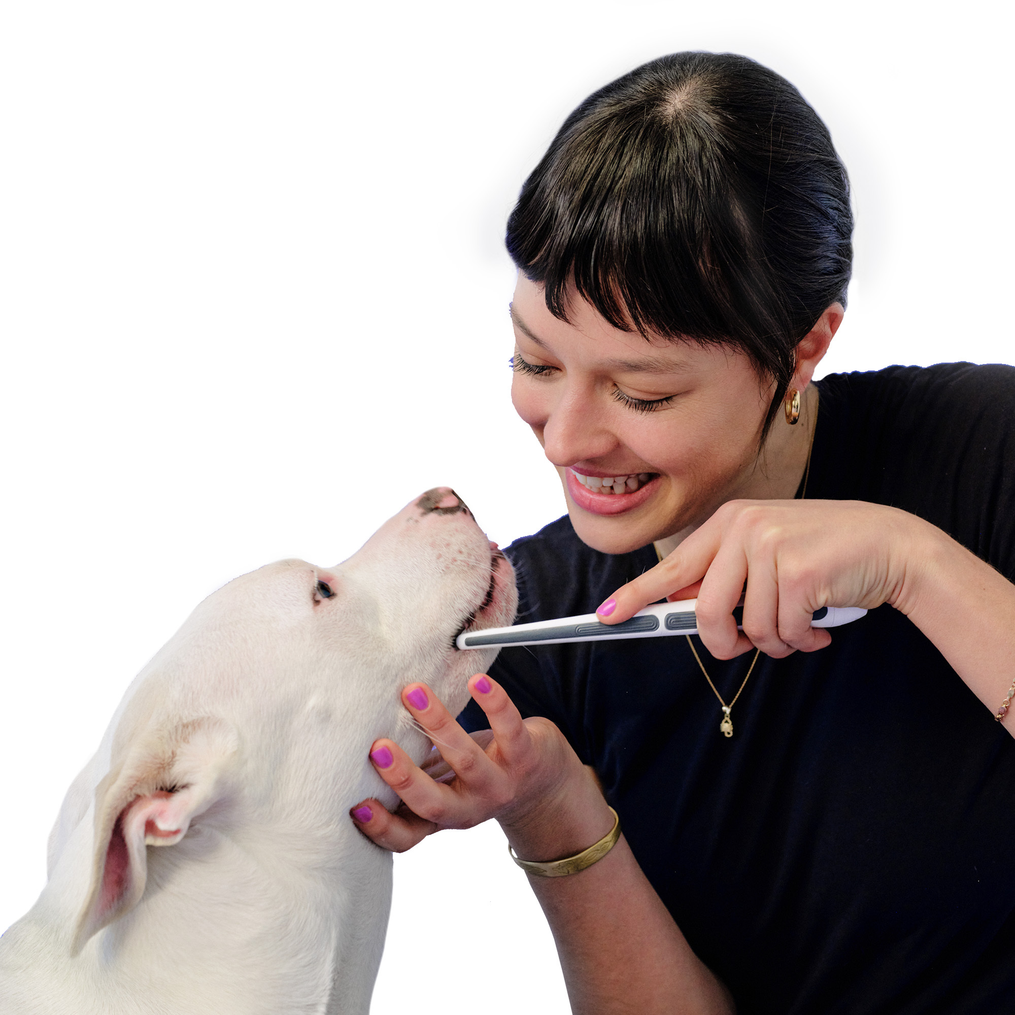 오리즈 반려동물 생체전류 칫솔, 펫 칫솔