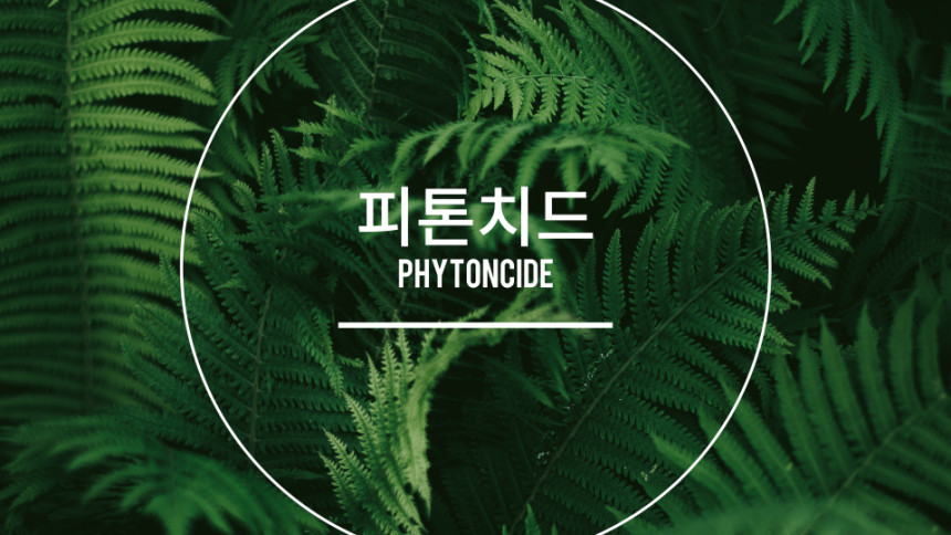 피톤치드_광촉매_20L_1.png