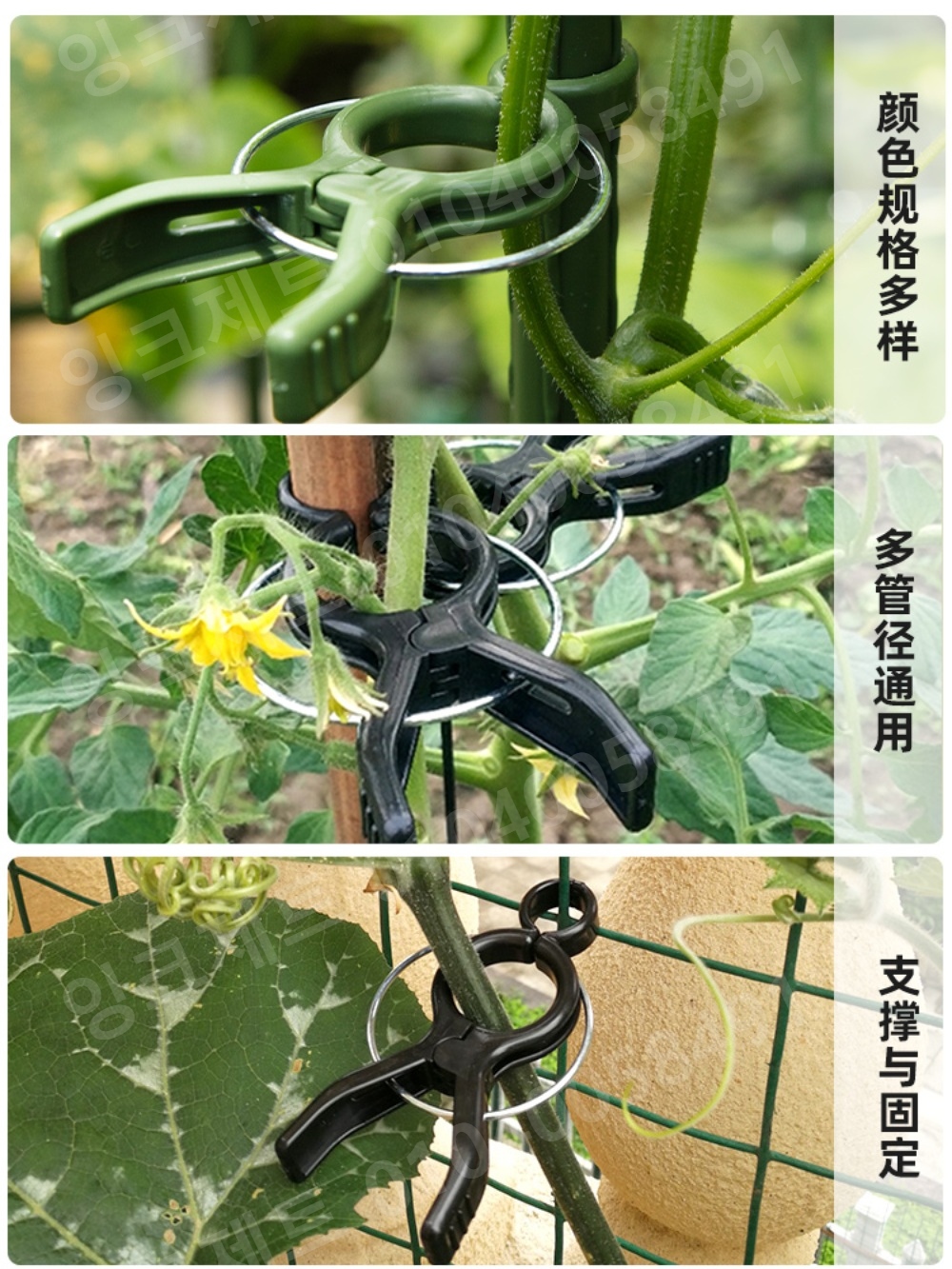 오이집게 토마토 비닐하우스 덩굴 멜론 클립 꽃 모종 - 상세 이미지 2