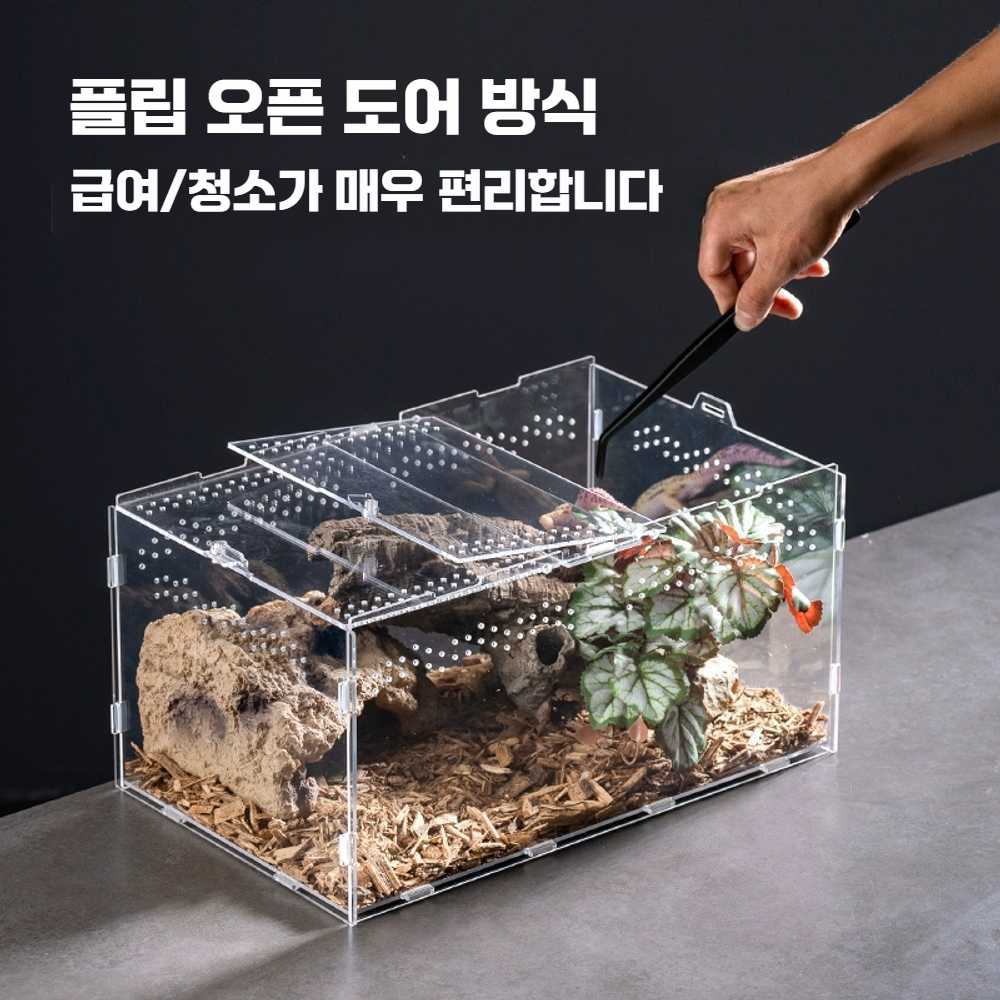 도마뱀 키우기 사육장 파충류 사슴벌레 아크릴 사육장 - 상세 이미지 2