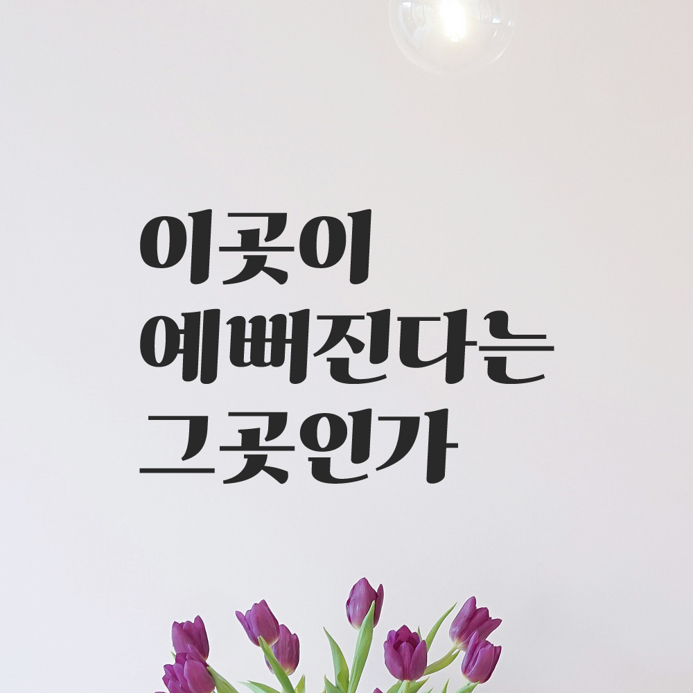 이곳이 예뻐진다는 그곳인가 레트로 레터링 스티커 LG-059S검정 이미지 8
