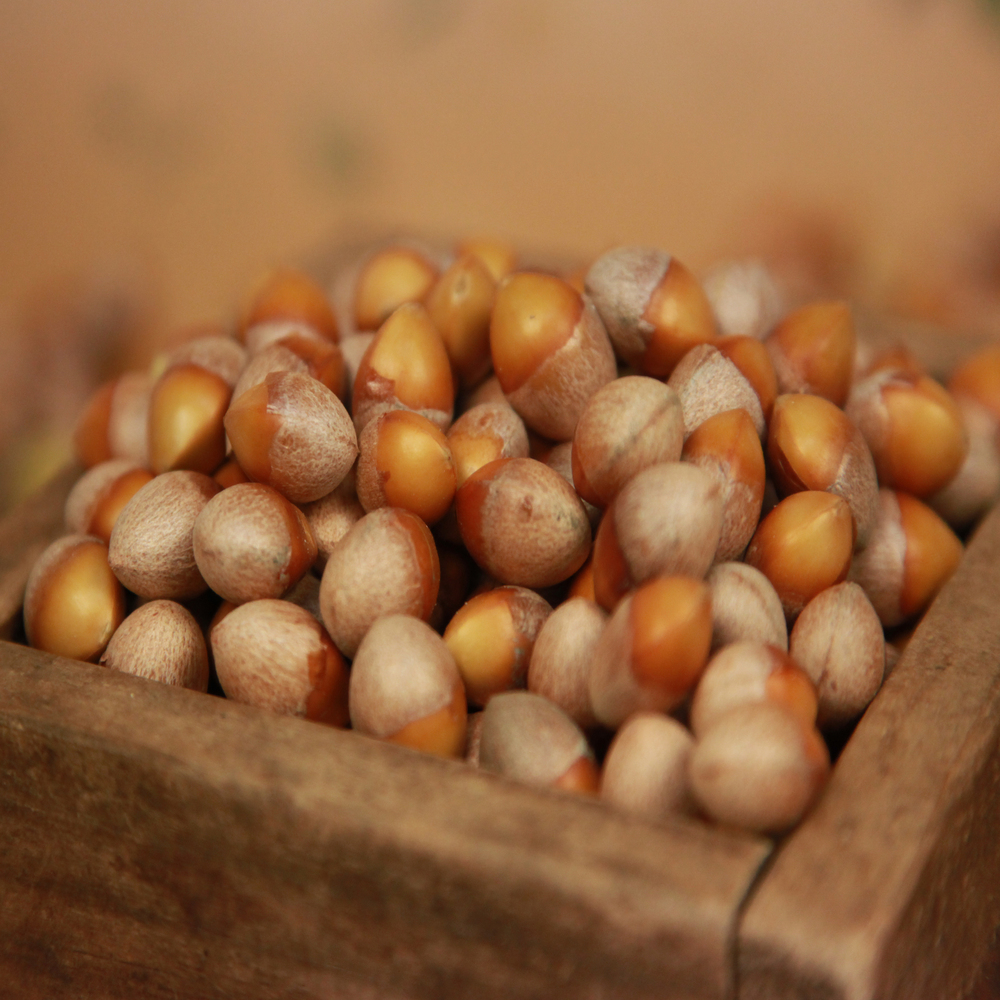 먹기 편하고 싱싱한 무농약 냉장 깐은행(중) 500g