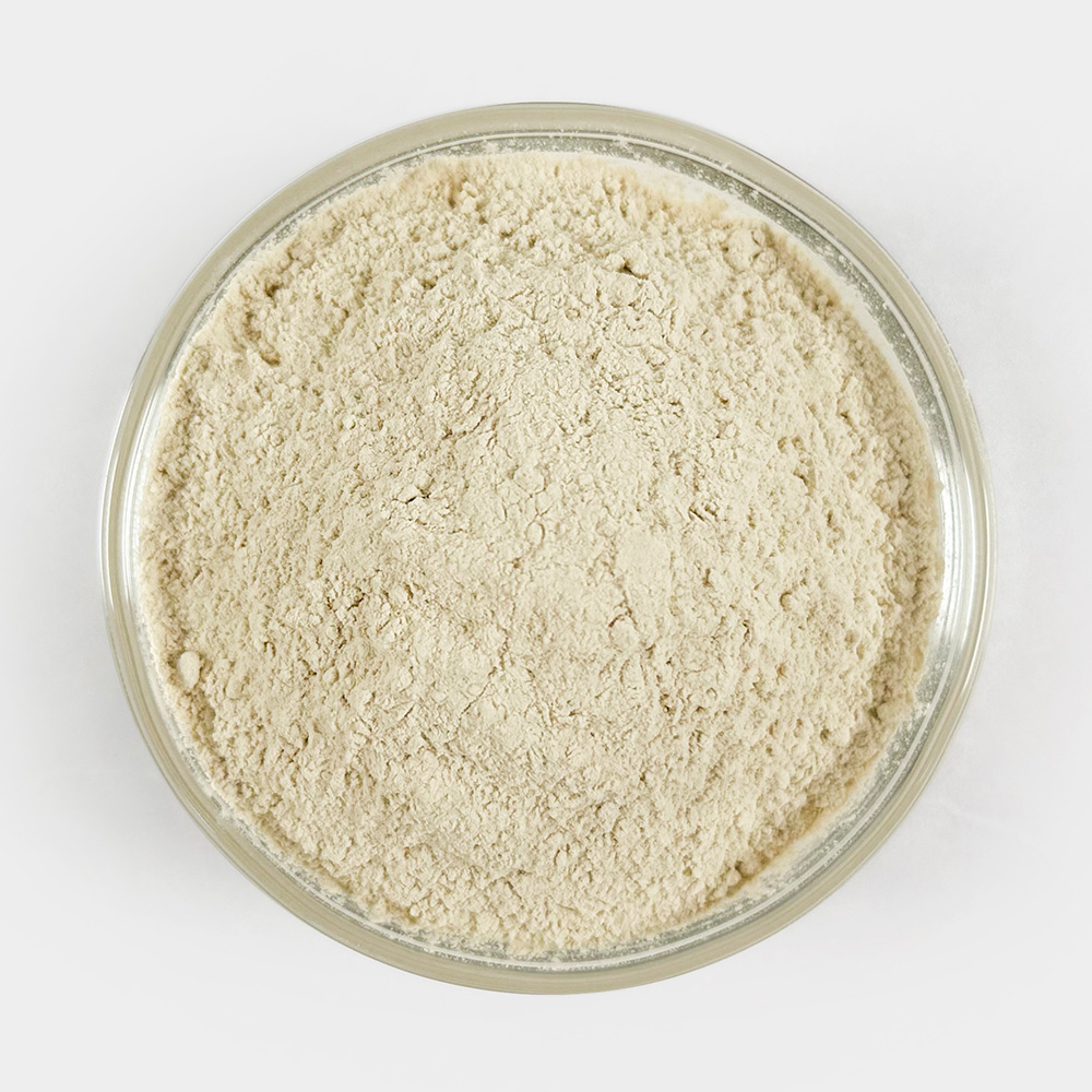 국산 더덕가루 더덕분말 250g - 상세 이미지 4