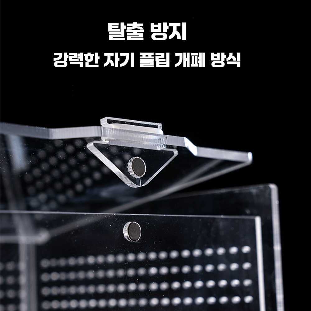 도마뱀 키우기 사육장 파충류 사슴벌레 아크릴 사육장 - 상세 이미지 5