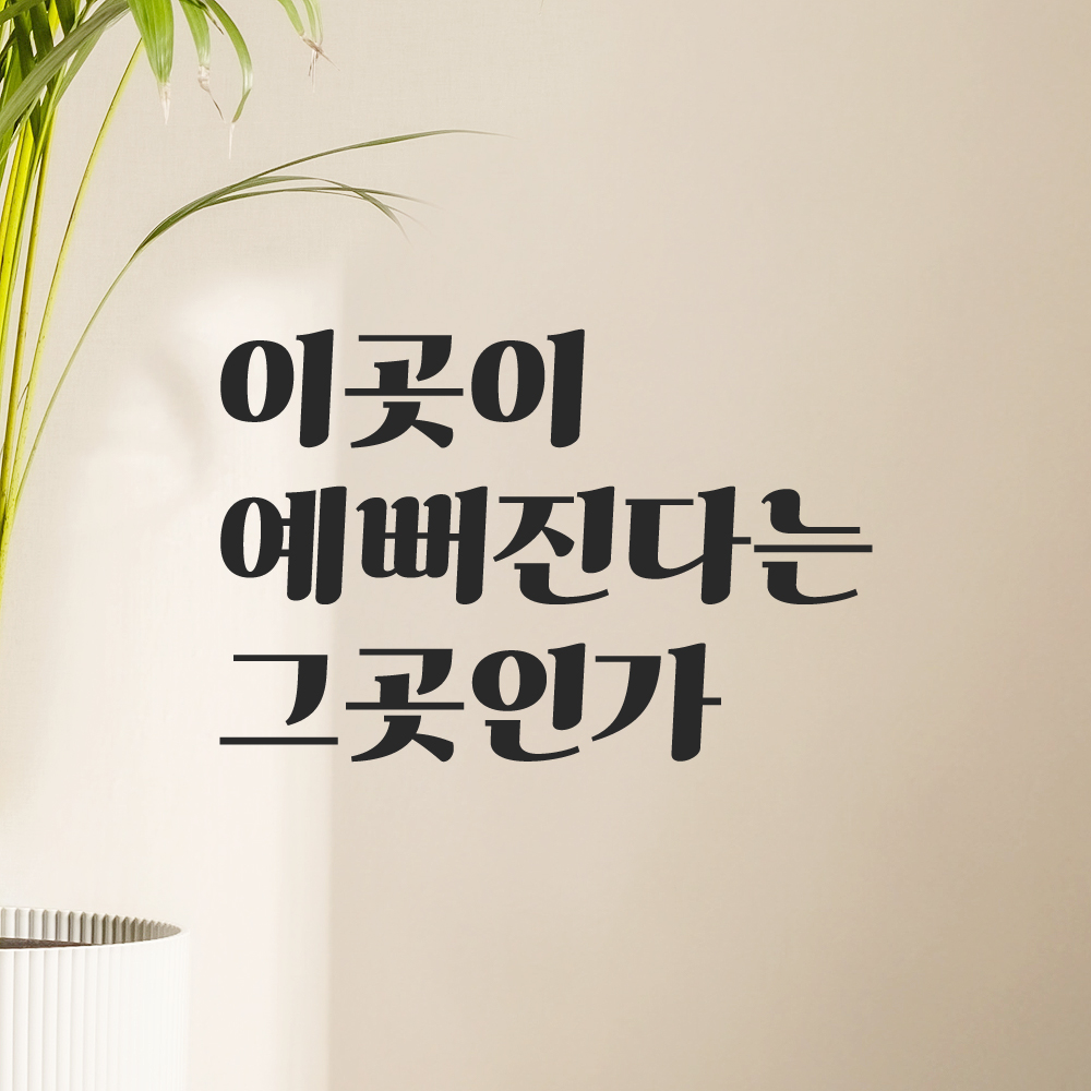 이곳이 예뻐진다는 그곳인가 레트로 레터링 스티커 LG-059S검정 이미지 6