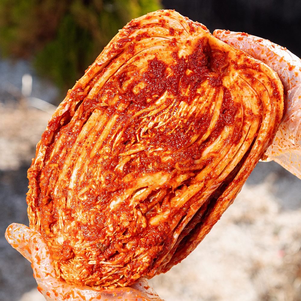 국내산 포기 김치 2kg 배추김치