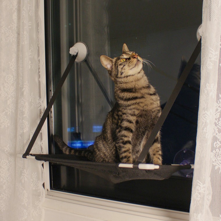 튼튼한 뚱냥이 창틀고양이해먹 강아지해먹 창문형해먹