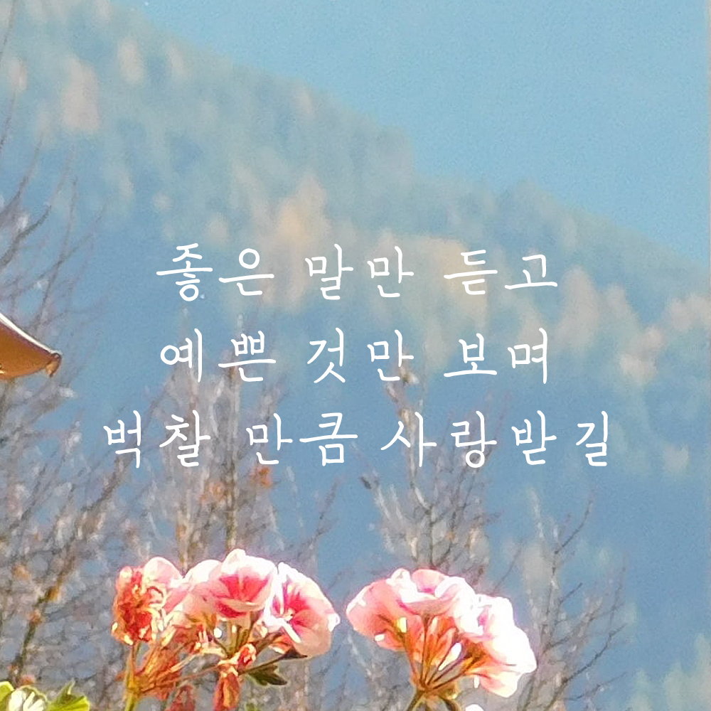 인테리어 포인트 감성 손글씨 레터링 스티커 좋은 말만 듣고 예쁜 것만 보며 벅찰 만큼 사랑받길 LH-058S검정 이미지 8