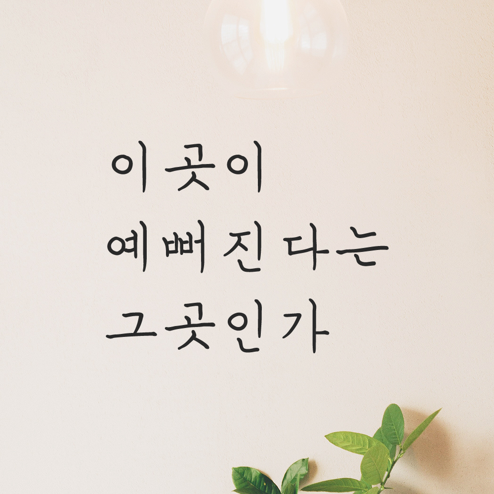 인테리어 포인트 감성 손글씨 레터링 스티커 이곳이 예뻐진다는 그곳인가 LH-059S 검정 - 상품 이미지
