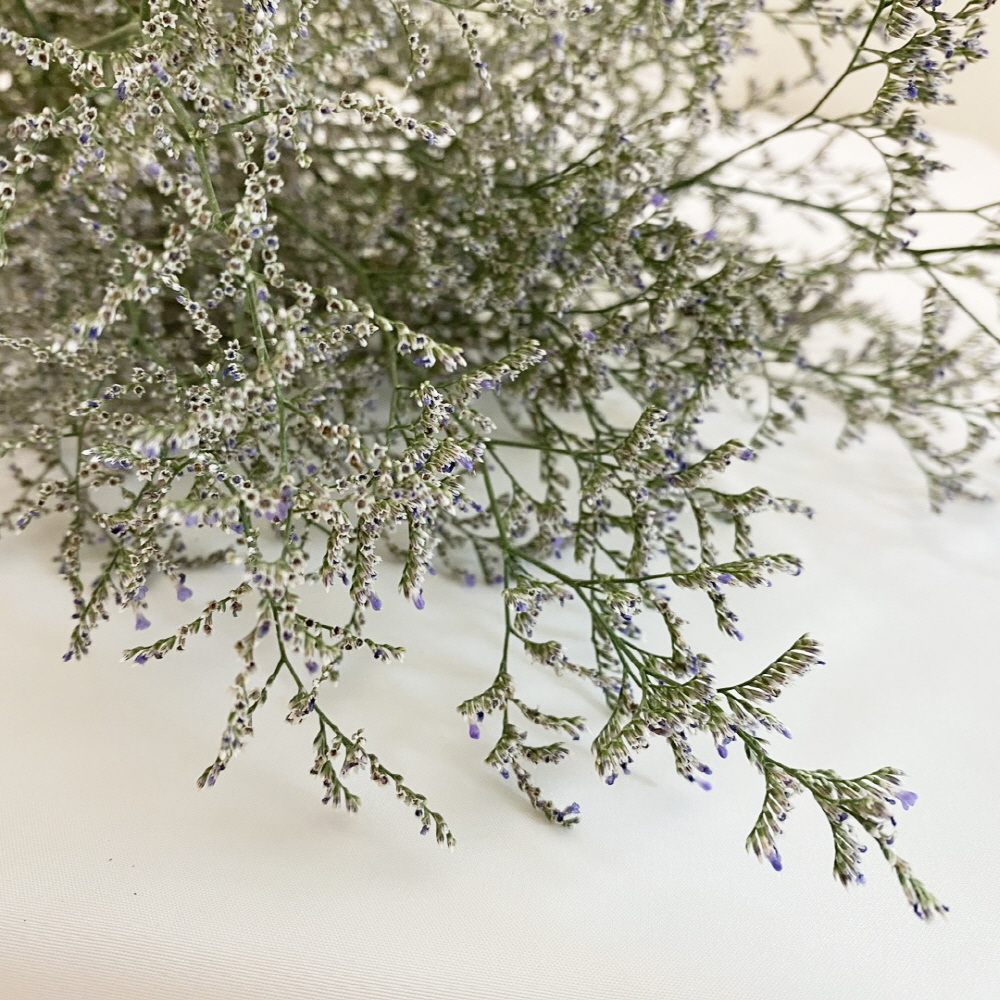 미스티블루 생화 그린소재 생화택배 꽃배달 싼곳 꽃배송