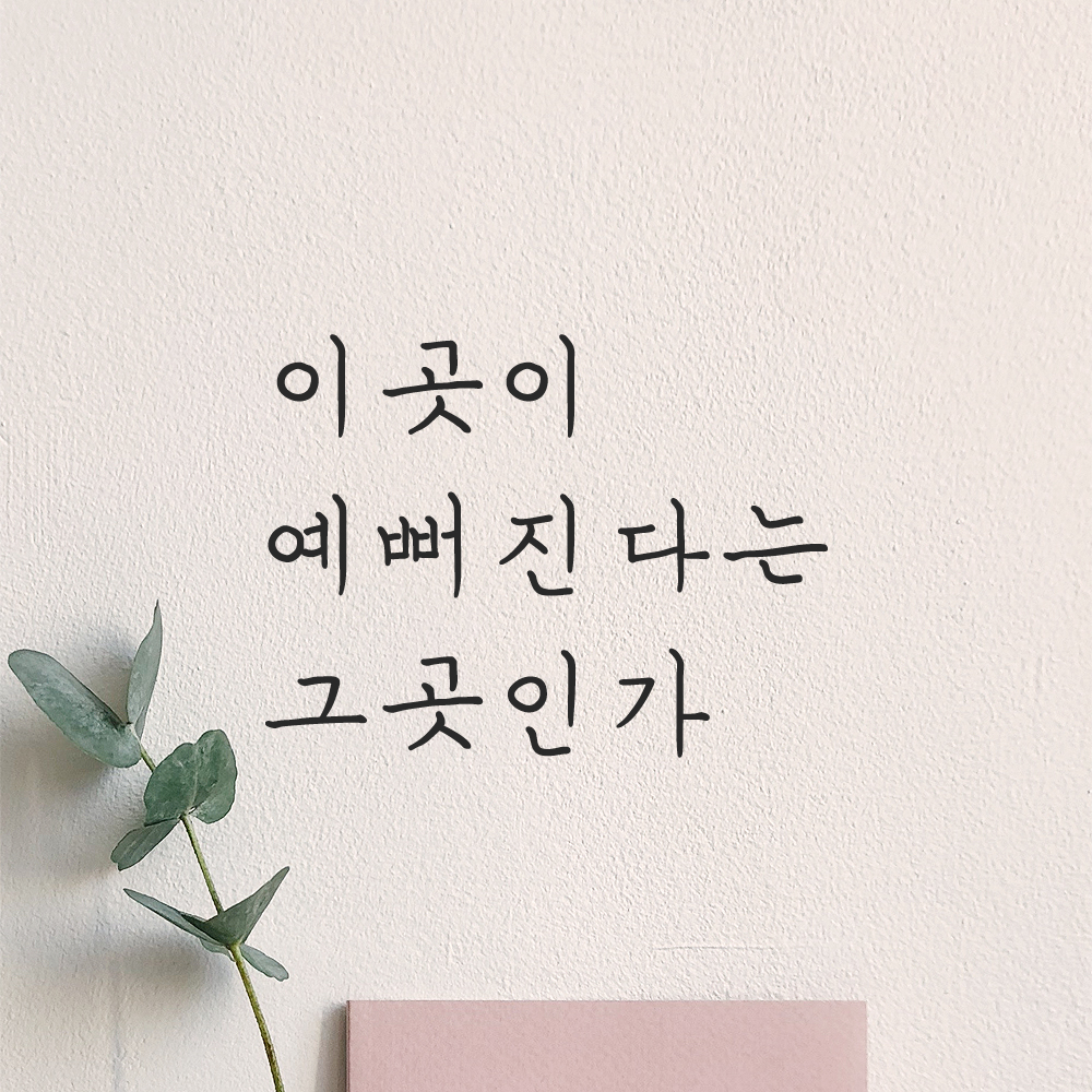 인테리어 포인트 감성 손글씨 레터링 스티커 이곳이 예뻐진다는 그곳인가 LH-059S검정 이미지 8