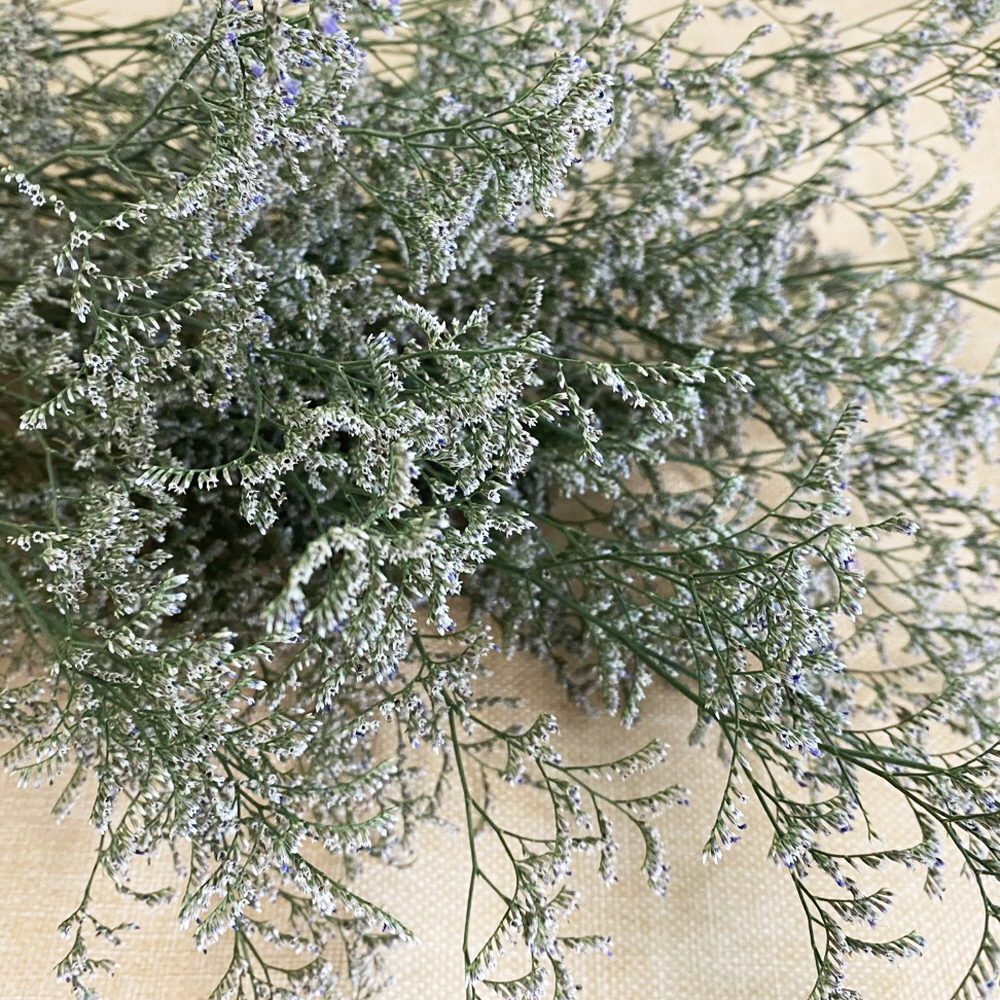 미스티블루 생화 그린소재 생화택배 꽃배달 싼곳 꽃배송