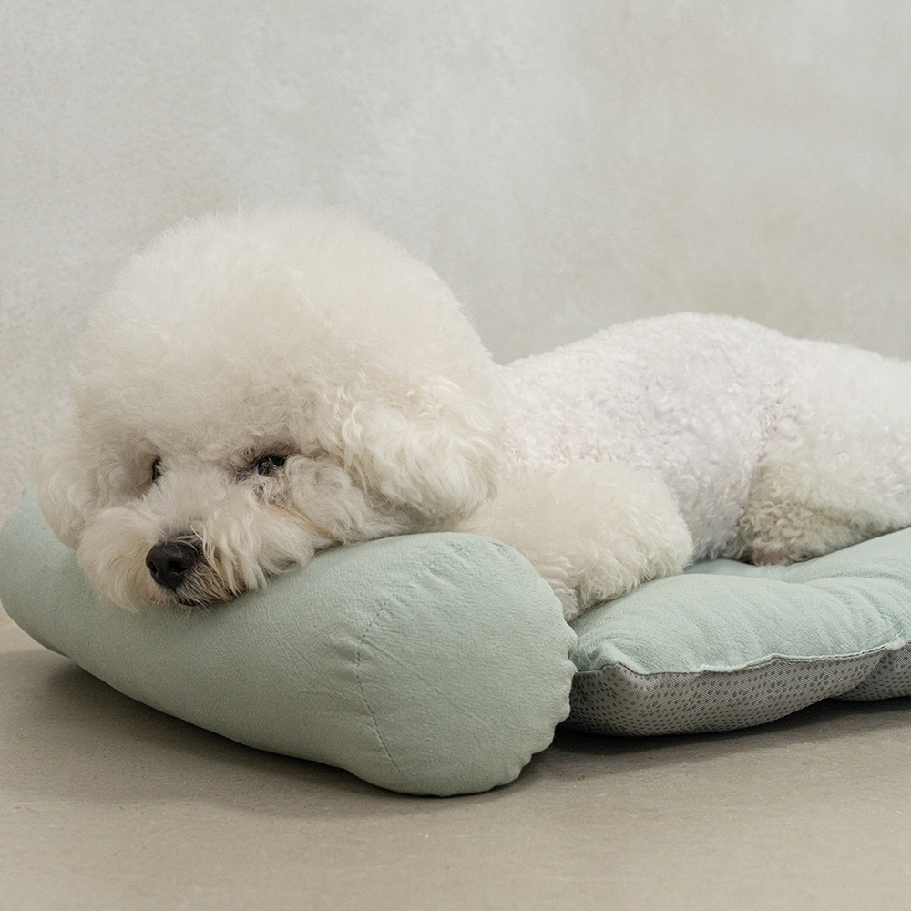 강아지집 하우스 애견 사계절 숨숨집 텐트 베이지 M