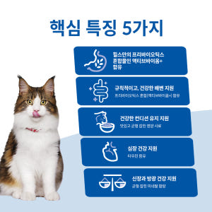 힐스 고양이사료 어덜트 퍼펙트 다이제스천 치킨 1.6kg 솔직 후기 | 실제 사용자 리뷰 총정리 - 상품 이미지 3