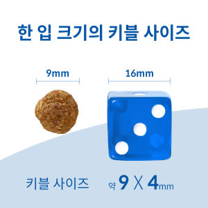 힐스 강아지사료 어덜트 7+ 퍼펙트 다이제스천 스몰 바이트 1.6kg X... 솔직 후기 | 실제 사용자 리뷰 총정리 - 상품 이미지 4