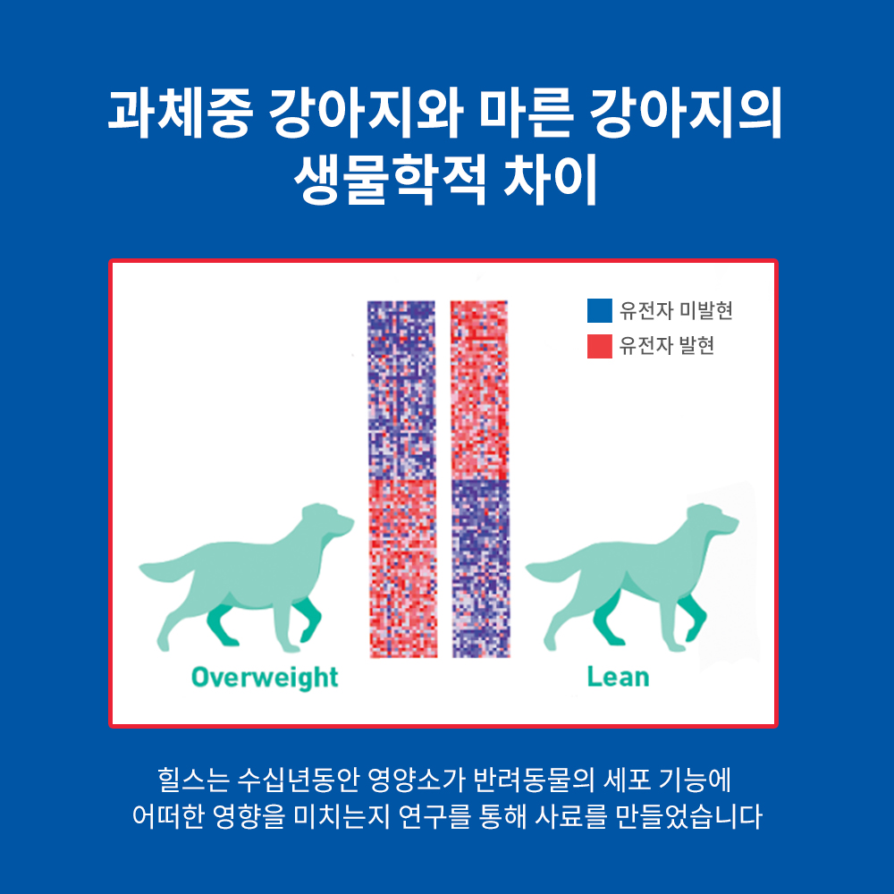 힐스 강아지사료 어덜트 퍼펙트 웨이트 야채&치킨 스튜 주식캔 354g x 12개