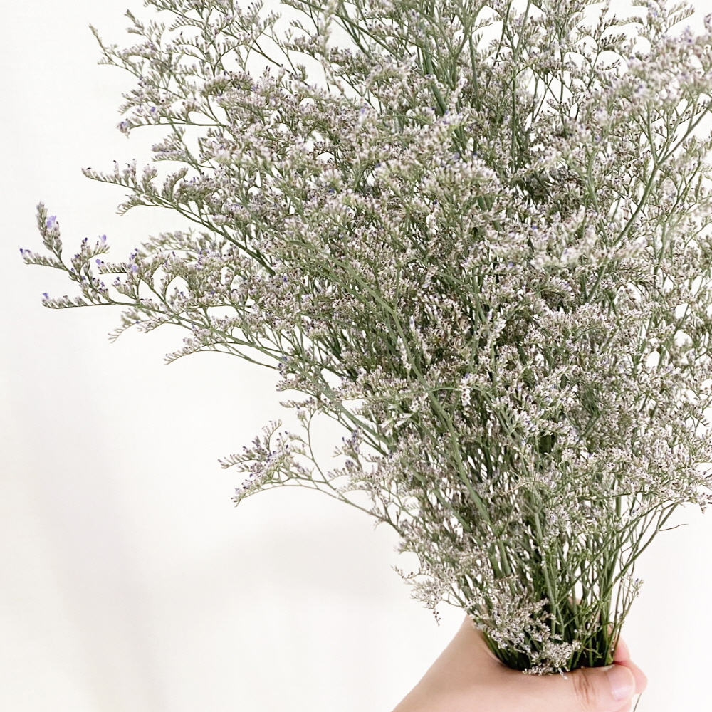 미스티블루 생화 그린소재 생화택배 꽃배달 싼곳 꽃배송