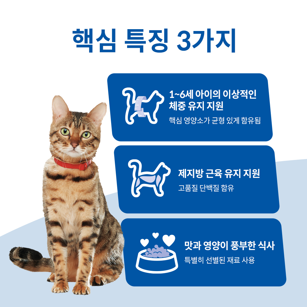[대용량팩] 힐스 고양이사료 어덜트 헬시 퀴진 치킨 스튜 주식캔 79g x 48개