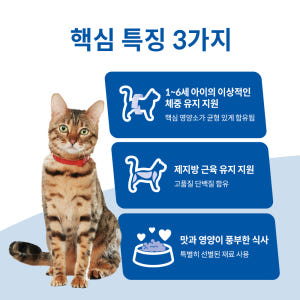 힐스 고양이사료 어덜트 헬시 퀴진 치킨 & 쌀 스튜 주식캔 79g x 2... 솔직 후기 | 실제 사용자 리뷰 총정리 - 상품 이미지 3