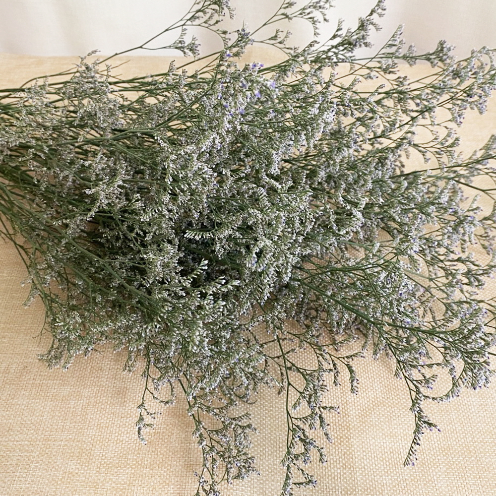 미스티블루 생화 그린소재 생화택배 꽃배달 싼곳 꽃배송