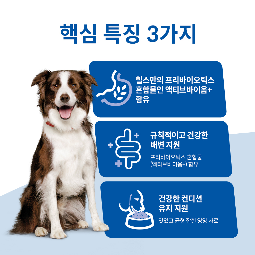 힐스 강아지사료 어덜트 퍼펙트 다이제스천 연어 1.6kg