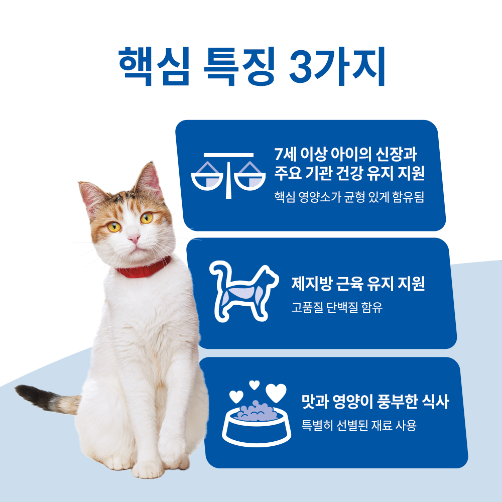 힐스 고양이사료 어덜트 7+ 헬시 퀴진 치킨&쌀 스튜 주식캔 79g X 12개