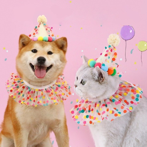 다묘집사 고양이 생일 꼬깔 모자 케이프 - 상품 이미지