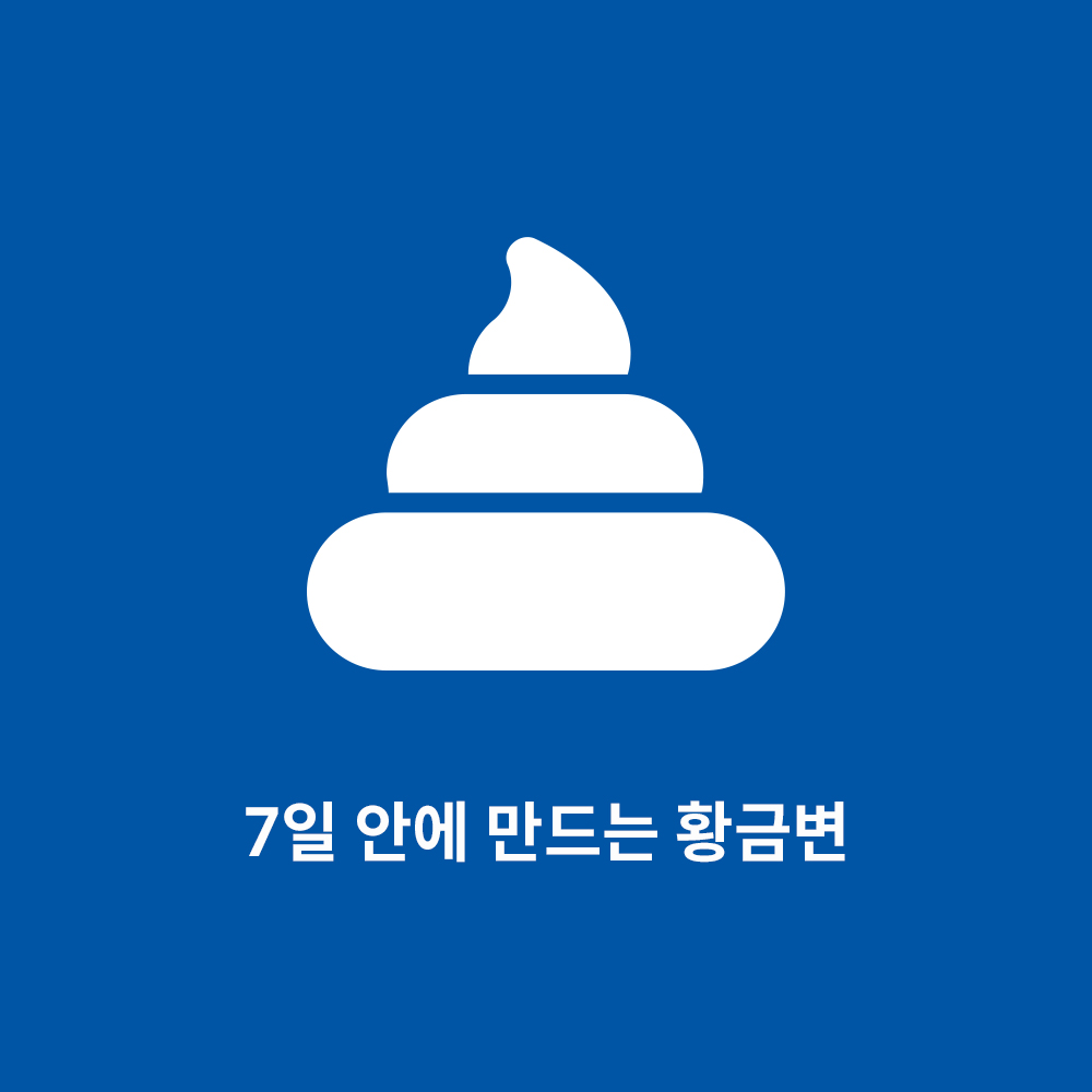 힐스 고양이사료 어덜트 퍼펙트 다이제스천 치킨 1.6kg 이미지 2