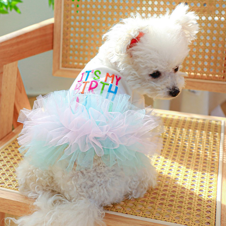 강아지생일 해피벌스데이 튜튜 원피스 드레스 강아지옷 - 상세 이미지 2