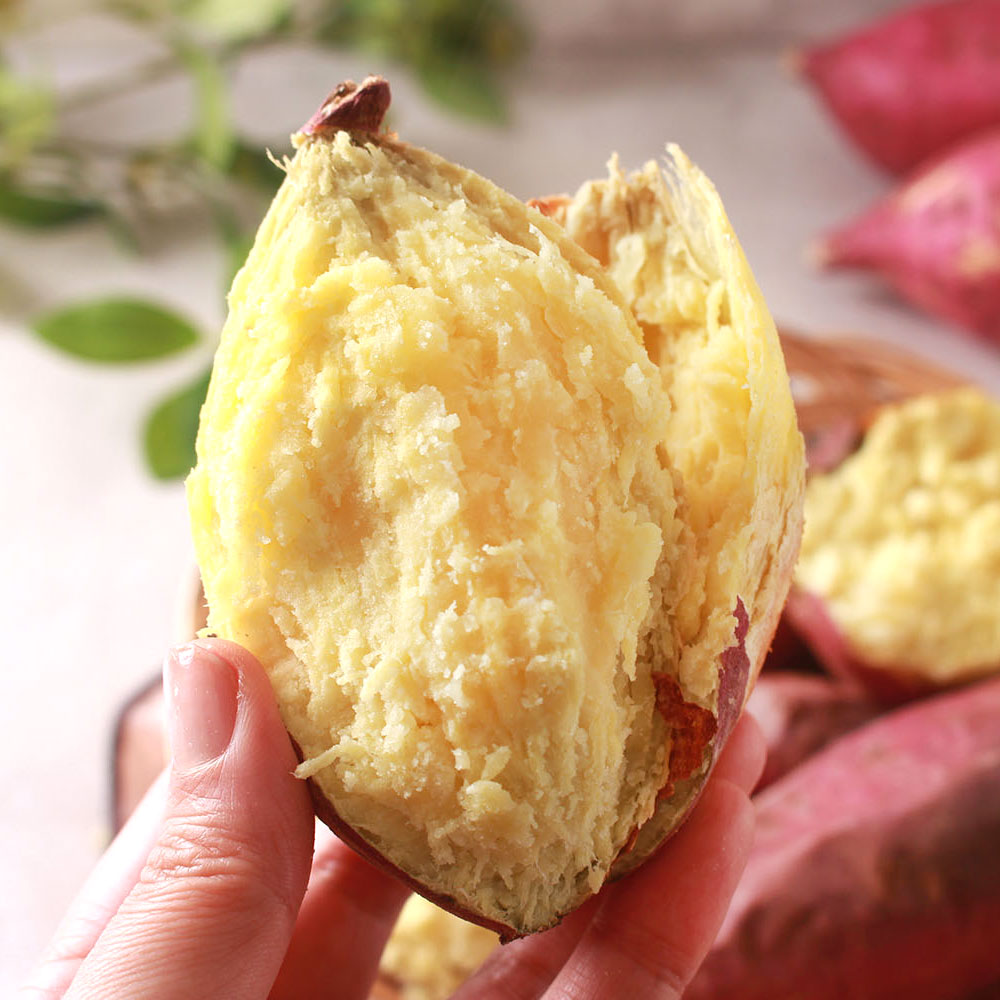 25년 햇고구마 해남 진율미 퍽퍽한 밤고구마 3kg 5kg