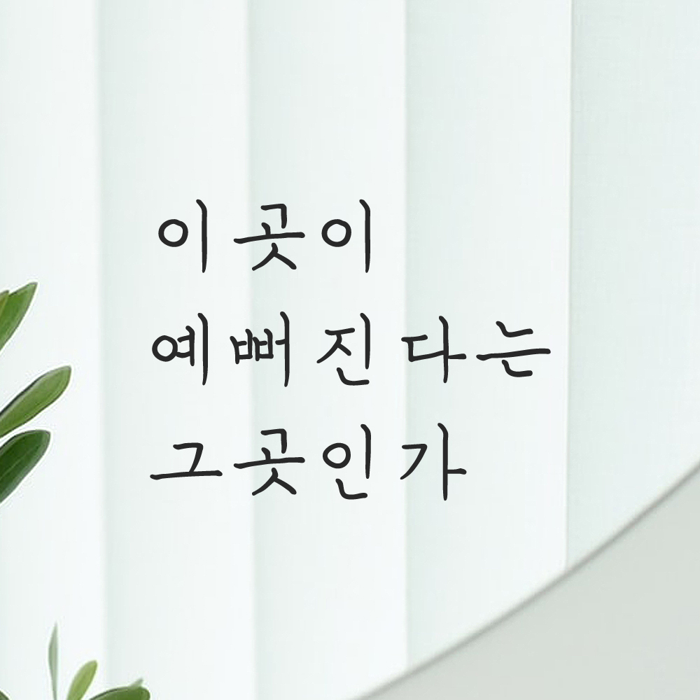 인테리어 포인트 감성 손글씨 레터링 스티커 이곳이 예뻐진다는 그곳인가 LH-059S검정 - 상품 이미지