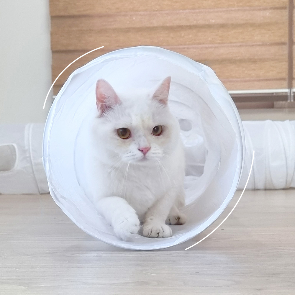 나마스펫 우다다 고양이 터널 바스락 장난감 고양이 숨숨집 - 메인 이미지