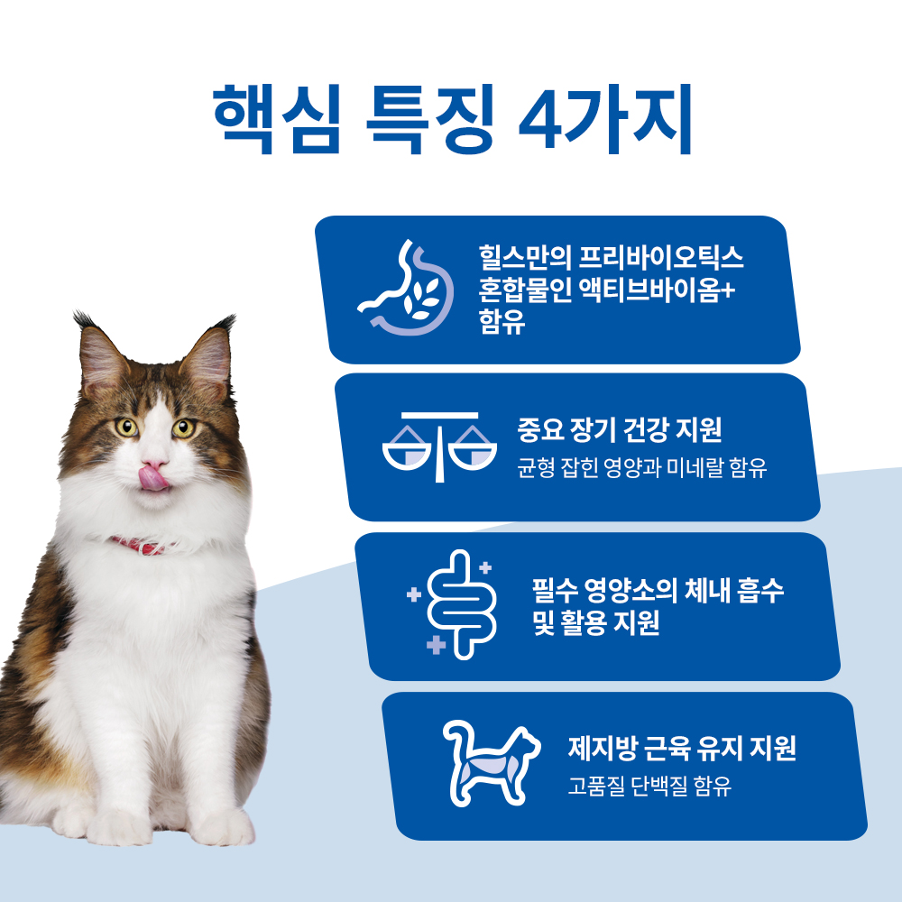 힐스 고양이사료 어덜트 퍼펙트 다이제스천 치킨 스튜 82g 주식캔 x 12개 이미지 3
