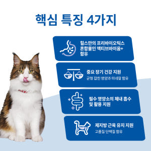 힐스 고양이사료 어덜트 퍼펙트 다이제스천 치킨 스튜 82g 주식캔 x 1... 솔직 후기 | 실제 사용자 리뷰 총정리 - 상품 이미지 3