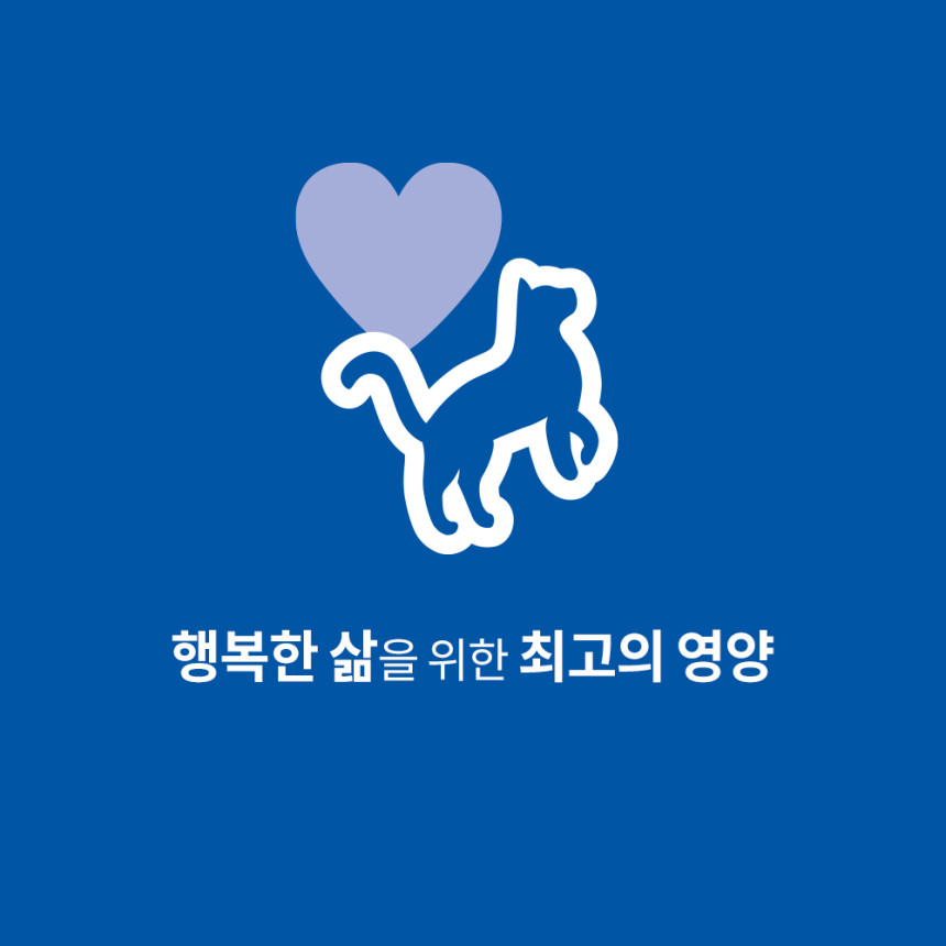 [대용량팩 힐스 고양이사료 어덜트 헬시 퀴진 치킨 스튜 주식캔 79g x 48개 사진 2