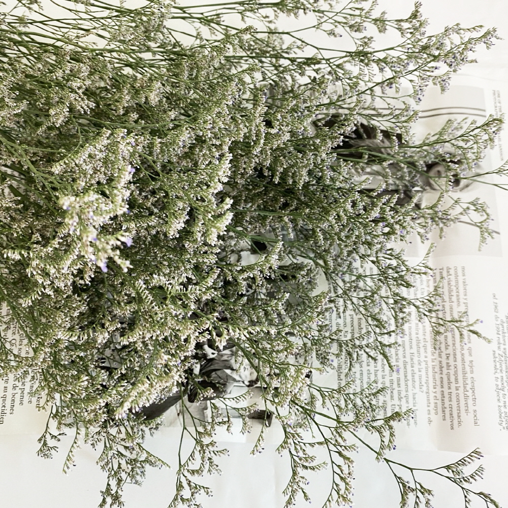 미스티블루 생화 그린소재 생화택배 꽃배달 싼곳 꽃배송