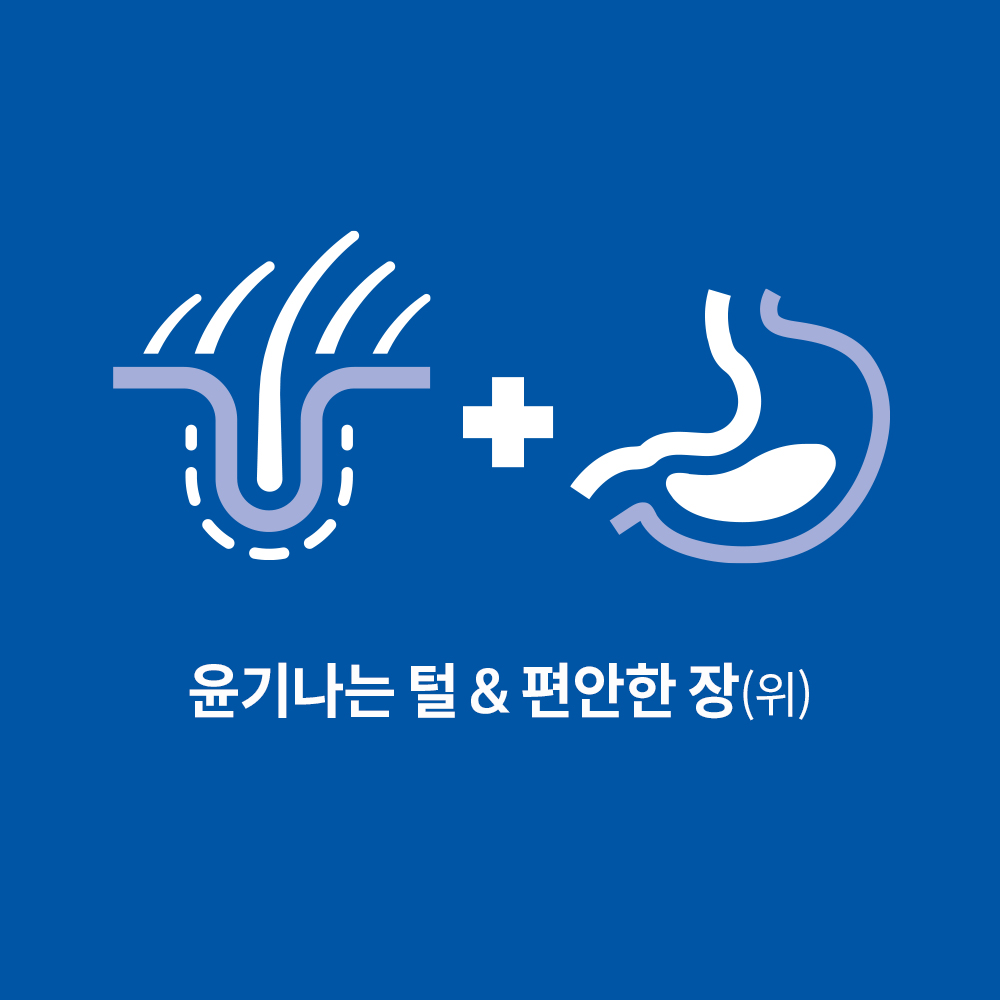힐스 강아지사료 어덜트 센서티브 스토막 앤 스킨 스몰 앤 미니 1.8kg 이미지 2
