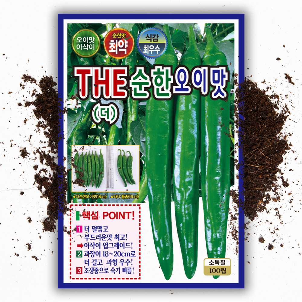 오이 고추씨앗 100립 맵지않고 아삭이는 고추 씨 종자 - 상품 이미지