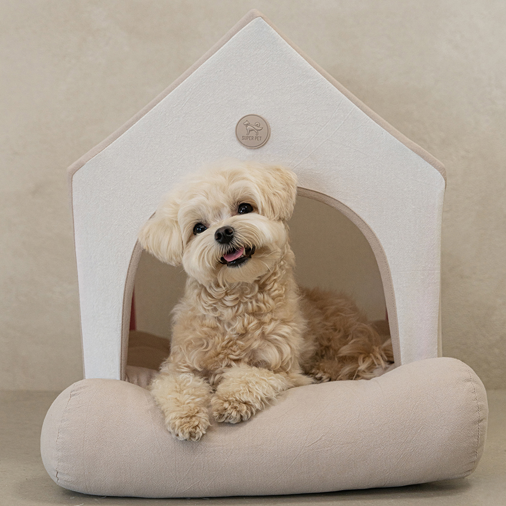 강아지집 하우스 애견 사계절 숨숨집 텐트 베이지 M