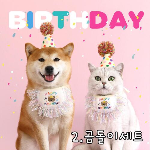 다묘집사 고양이 생일 꼬깔 모자 케이프 - 상세 이미지 3