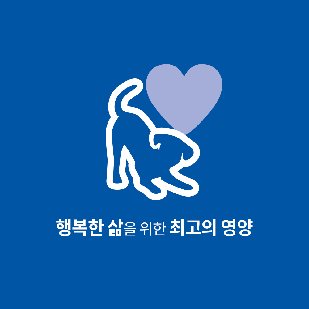 힐스 강아지사료 어덜트 헬시 퀴진 치킨 & 쌀 스튜 주식캔 354g x 24개 이미지 2