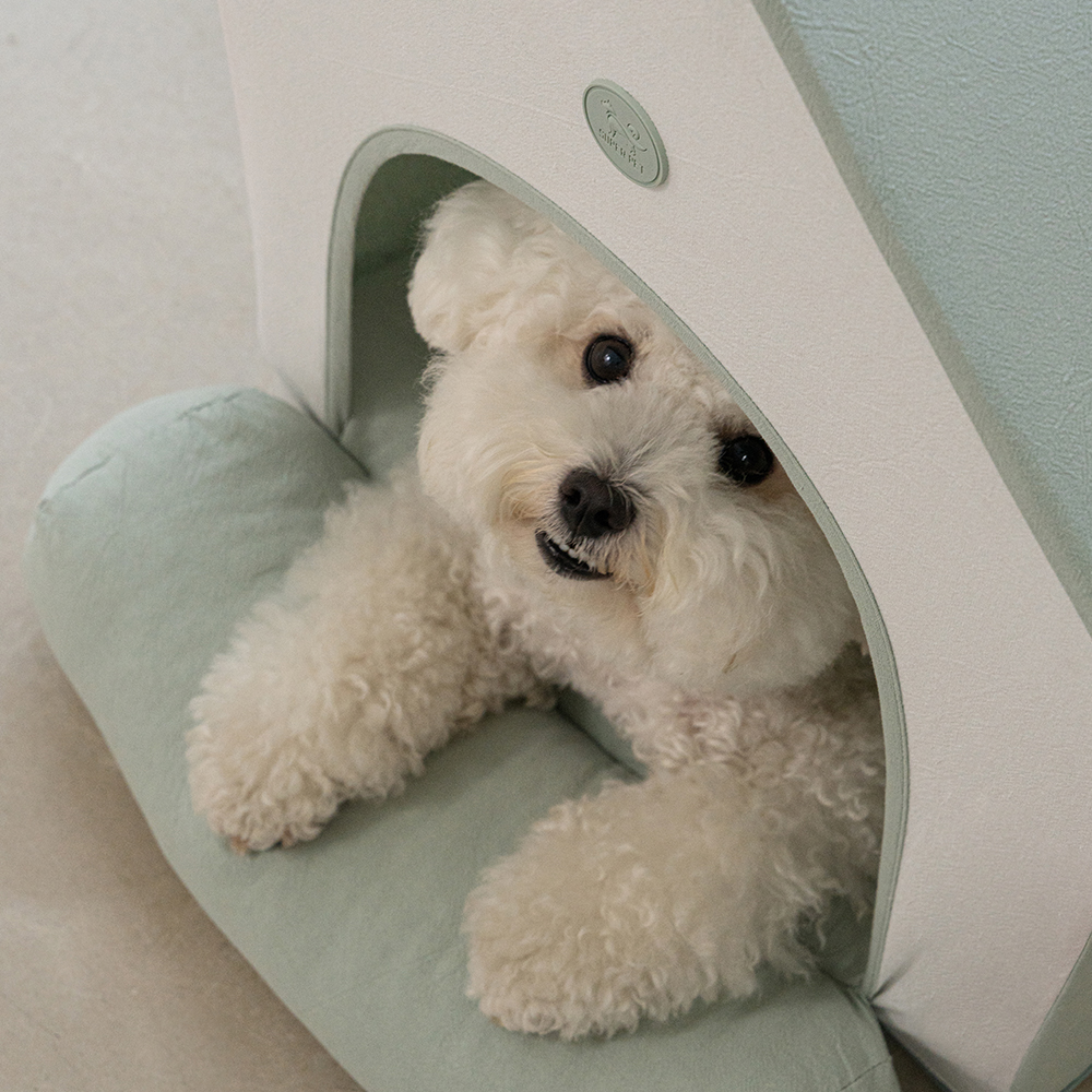 강아지집 하우스 애견 사계절 숨숨집 텐트 베이지 M